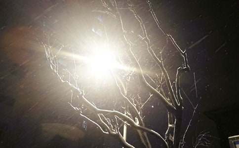 ���ڶ�����ѩ�ļ���İ�