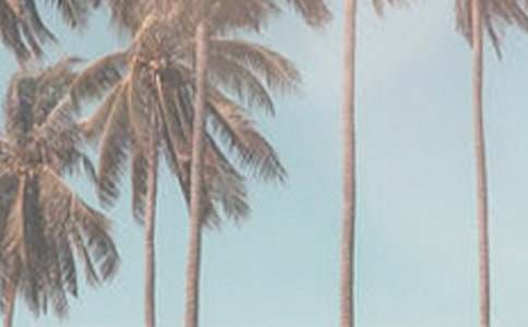 夏季防暑通知范文