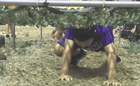 ����Ӫ�ĵø���