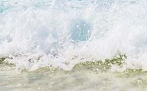 中班教案:夏天的服装通用