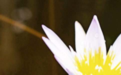 关于夏至的公益广告句子