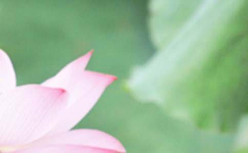 ��ʦ�����̰�����ѡ8ƪ��