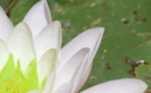 《夏至未至》经典语录