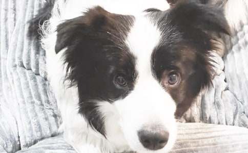 �ҵĳ���С������