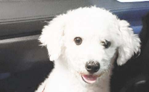 �ҵĳ���С�����ĺϼ�15ƪ