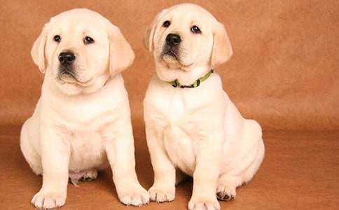 �ҵĳ���С������ͨ��15ƪ