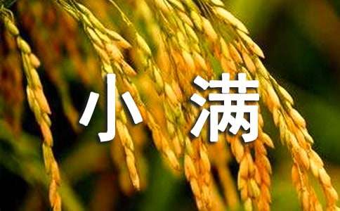 幼儿园小满节气绘画麦穗的教案(通用11篇)