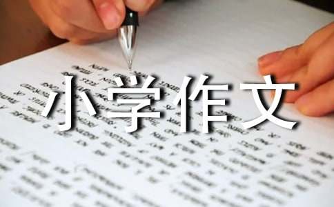 ���Ϻ��Ƽ���Сѧ����