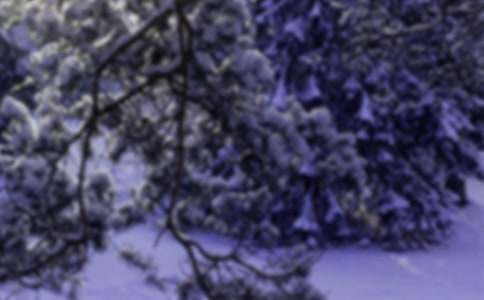 СѩΨ������İ�