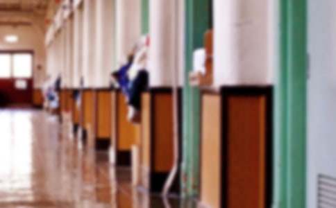 ѧУ�������鱨��15ƪ(����)