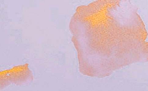 小班艺术活动洗澡教案5篇