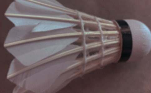 ����ѧϰ��ë����ĵø���