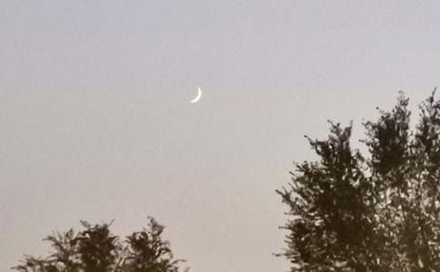 ������������ӡ�����л��15ƪ