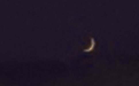 ���š�������������ʿ�������