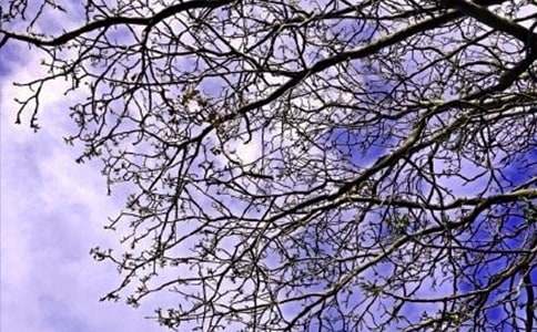 ��������簲�İ���ȫ����ѡ110�䣩