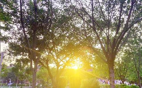 开心一笑早安祝福语