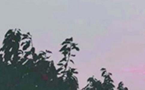 ������־�簲�İ���ȫ����ѡ115�䣩