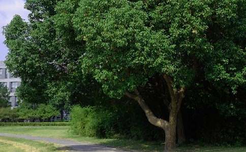 流行暖心早安文案145句