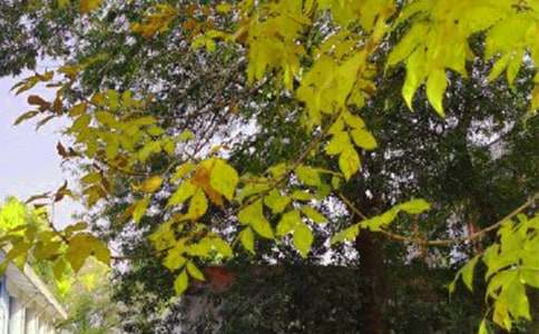 ���¸����簲ף����165��