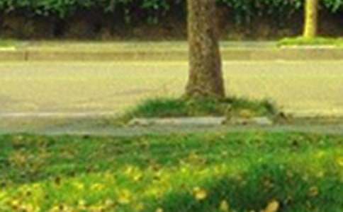 �������簲�İ���ȫ130�侫ѡ