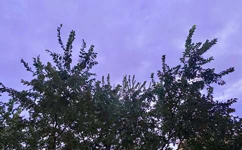 ���ر������õ��簲ף����20��