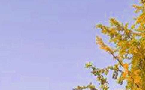 �Ƽ�Ψ���簲ף����40�侫ѡ