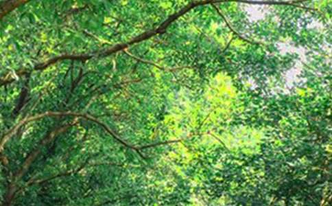 ���������簲�İ�����70�侫ѡ