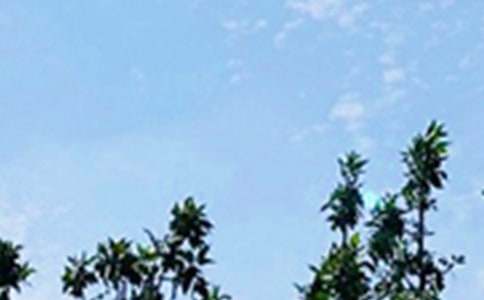 流行励志早安寄语汇总(精选85句)