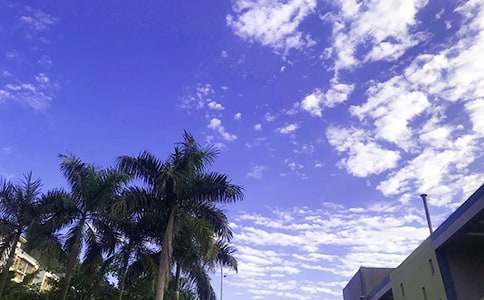 ����Ψ���簲�İ����ܣ���ѡ85�䣩