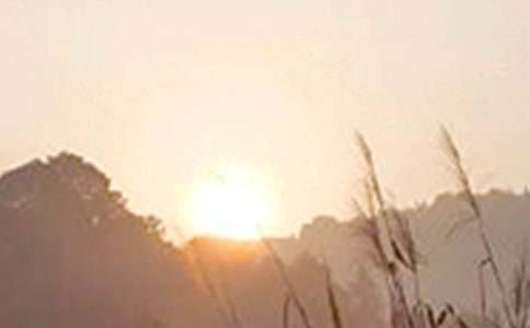 【精华】美好的早安QQ祝福语31条