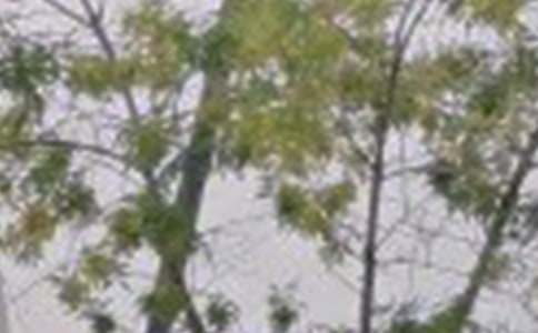 简短朋友圈早安祝福语(通用35句)