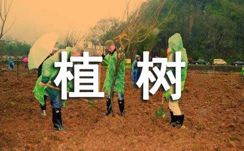 Сѧ��ֲ���ĵ����