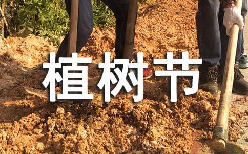 ֲ�������ӻ������ͨ��10ƪ��