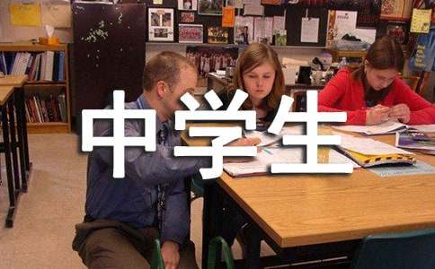 中学生文化苦旅读后感