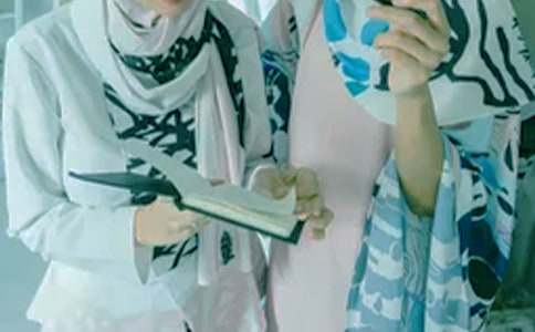 ��ѯʦ�����ڹ����ܽ�