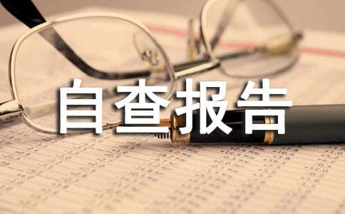 金融统计自查报告