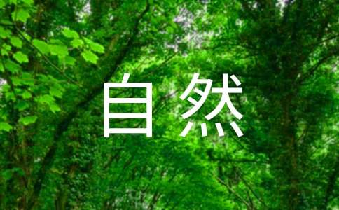 《大自然的声音》的评课稿15篇(实用)