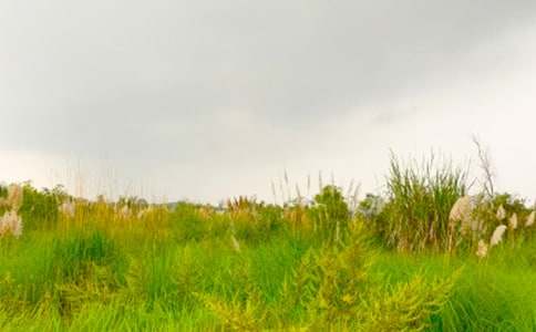 ���ϼ������߽���г�Ĵ��졷����ʼ�