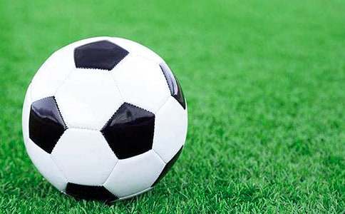 ����Э����ȹ����ܽ�