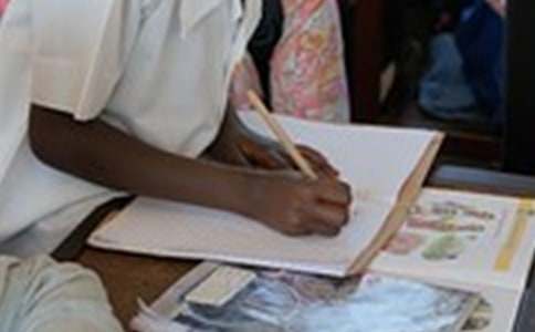 ����ѡ�����������300��10ƪ