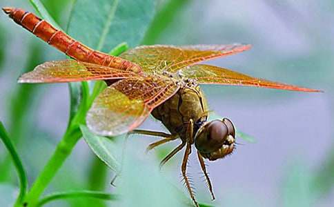 �����������ĵø��뷶��