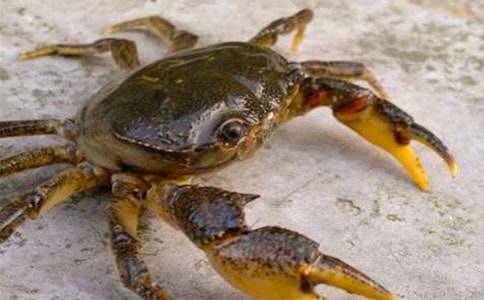 �Ͼ���Ʒ�����з���̰�