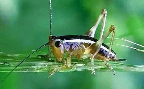 ���סլ��ѧ��ƾ�ѡ15ƪ