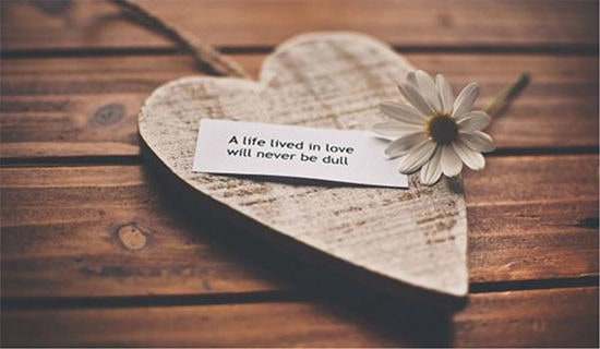 ���°���������30�侫ѡ