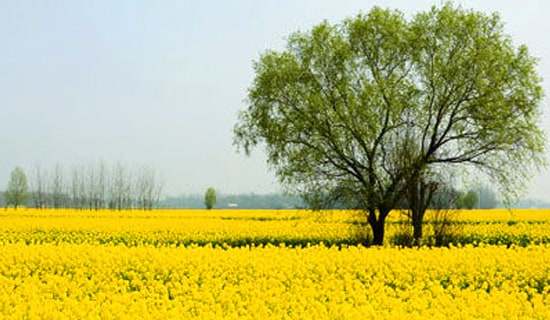 �а����Ӵ��λ����