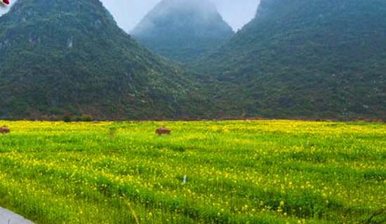 ������Ӵ��λ����2ƪ�����㡿